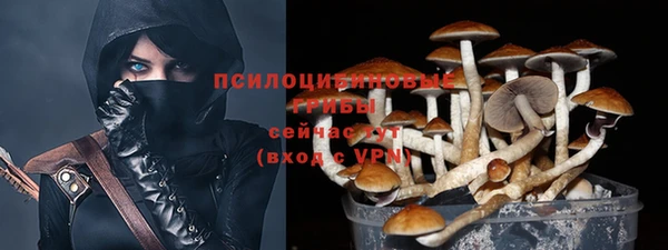 2c-b Балабаново