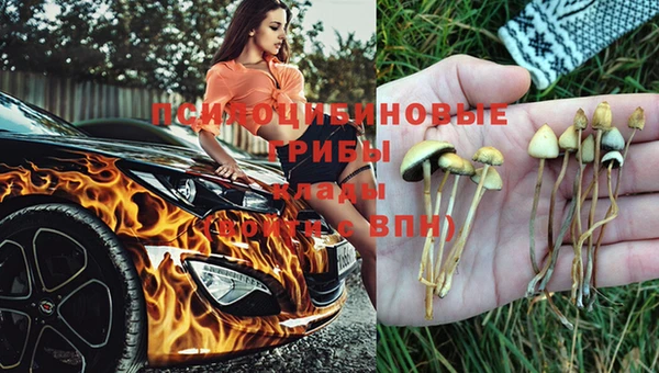 2c-b Балабаново